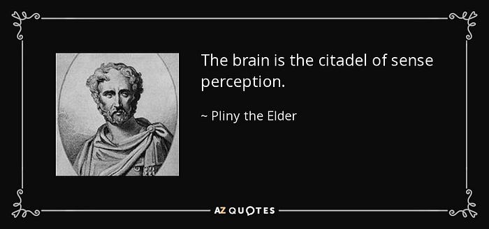 Quotes By Pliny the elder